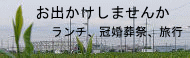 ランチ、冠婚葬祭、旅行 